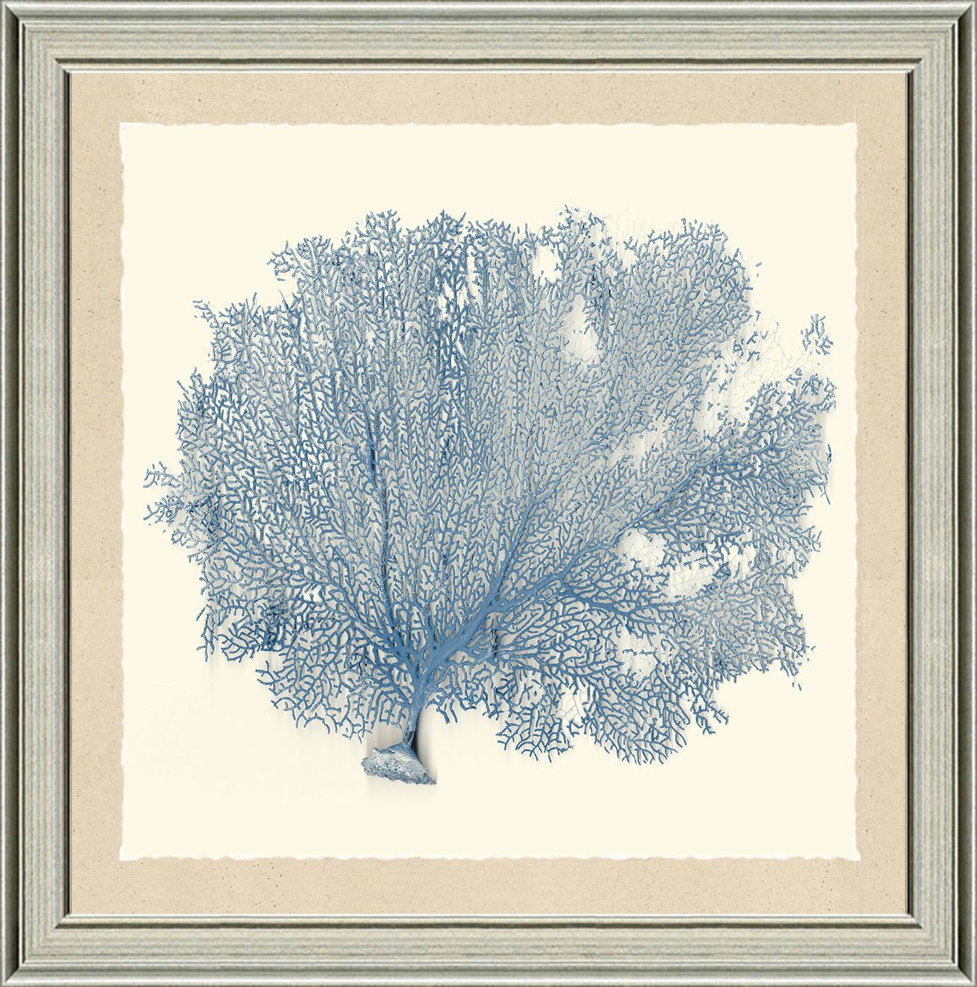 Highland Dunes Blue Sea Fan I Framed Graphic Art Print