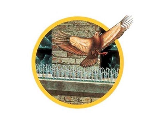 Bird-X 25& Plastic Bird Spikes