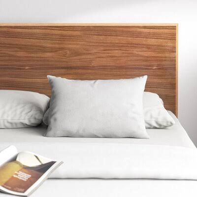 Basic Pillow Insert Size 30x22 x 30x22