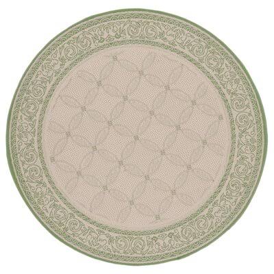 Astoria Grand Beasley Natural/Olive Outdoor Rug