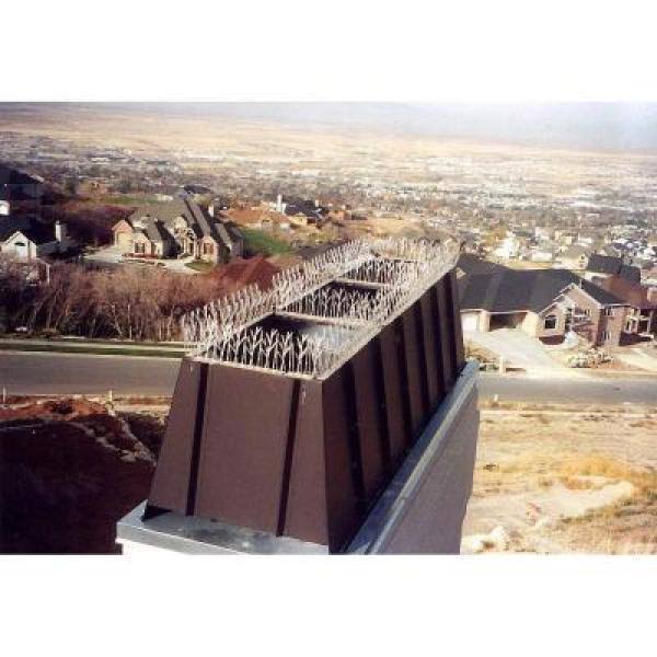 Bird-X 100 ft. Plastic Bird Spikes