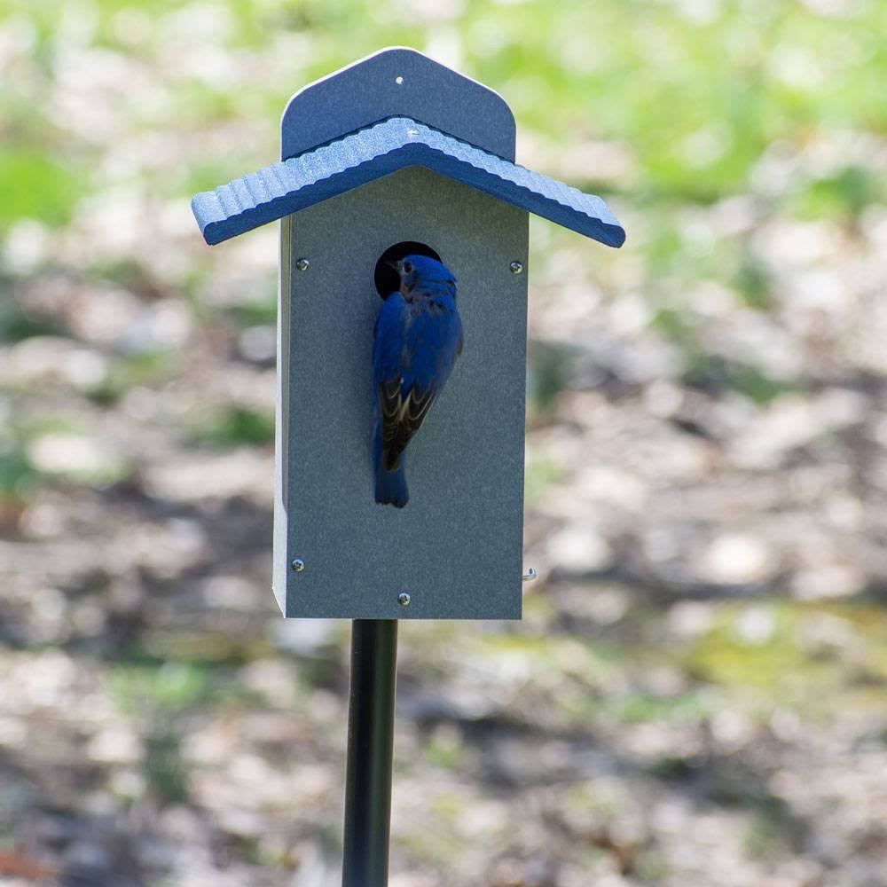 Green Solutions Recycled Bluebird House