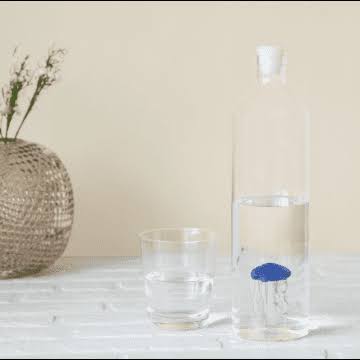 Balvi Blue Fish Water Bottle