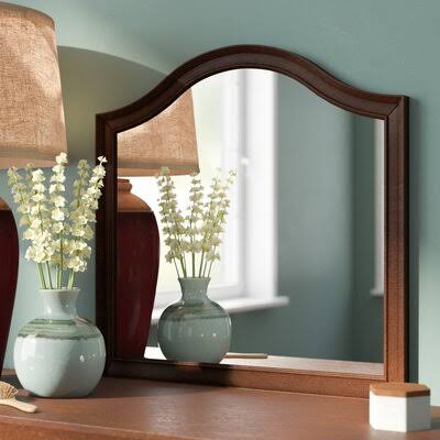 Warlick Bathroom/Vanity Mirror Finish: Rustic Cherry