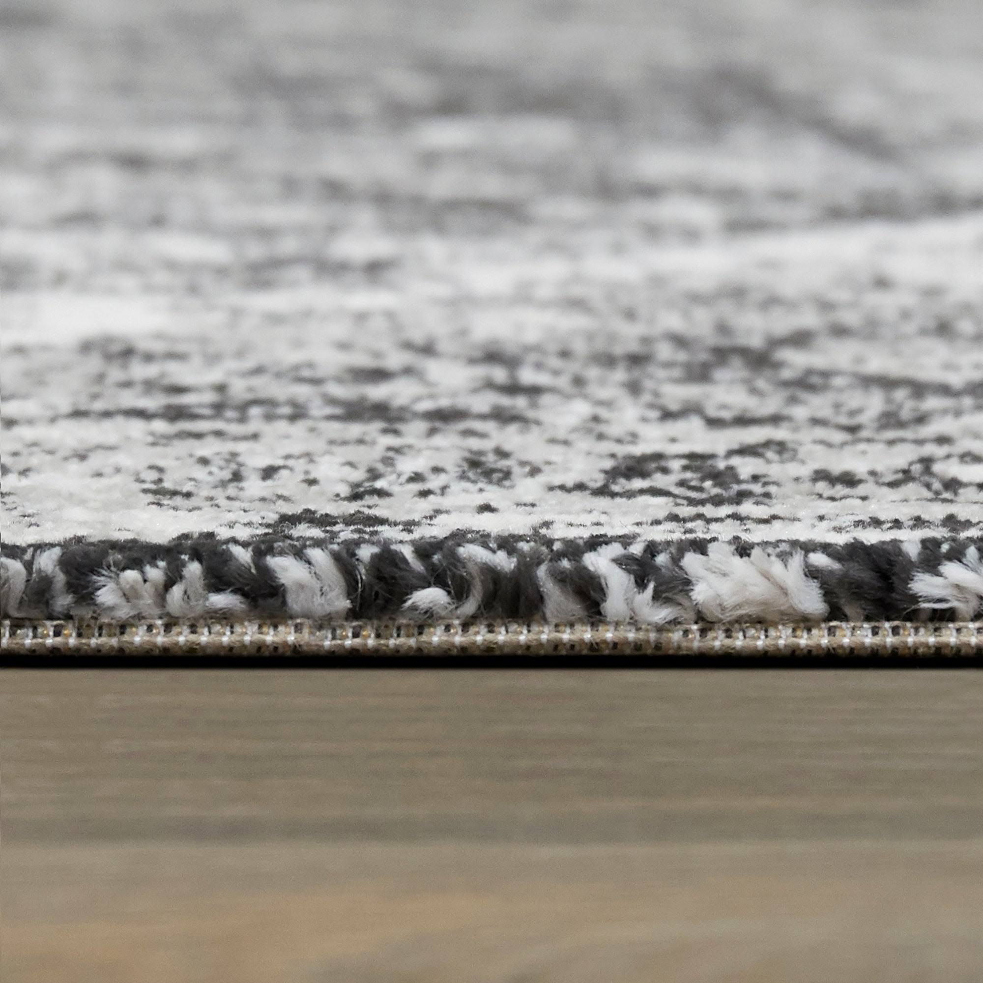 BALTA Dion Charcoal Grey 5 ft. x 7 ft. Persian Medallion Area Rug