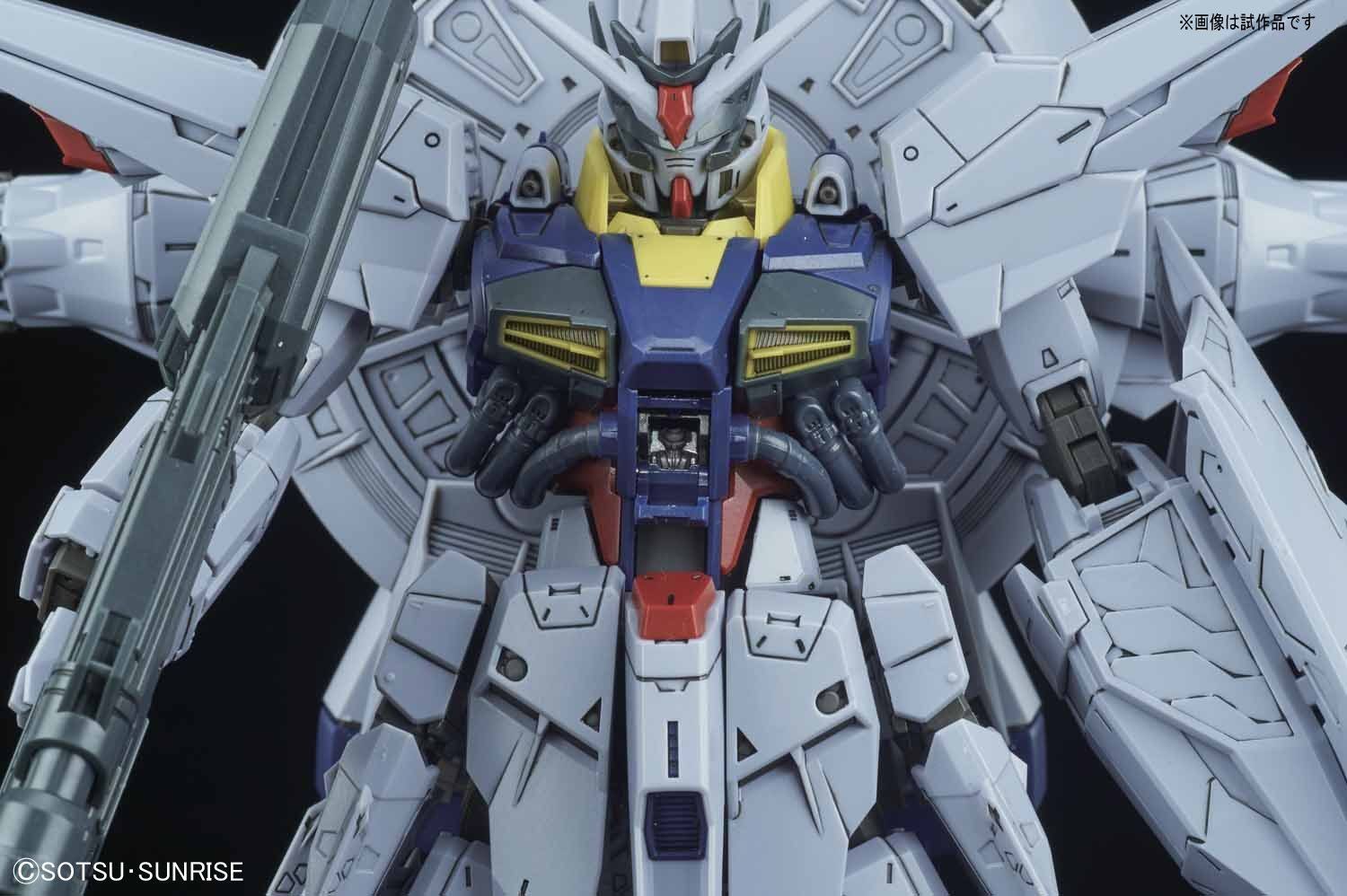 Gundam mg 1/100 Providence Gundam Premium Edition