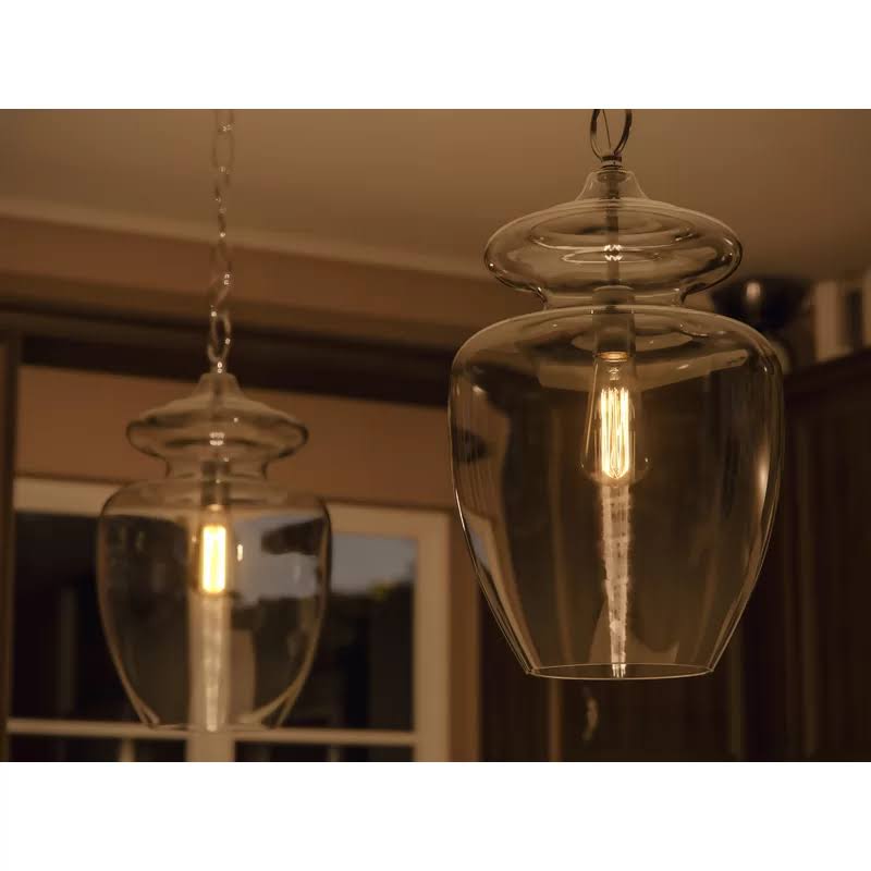 Sussex 1-Light Schoolhouse Pendant Shade Color: Clear