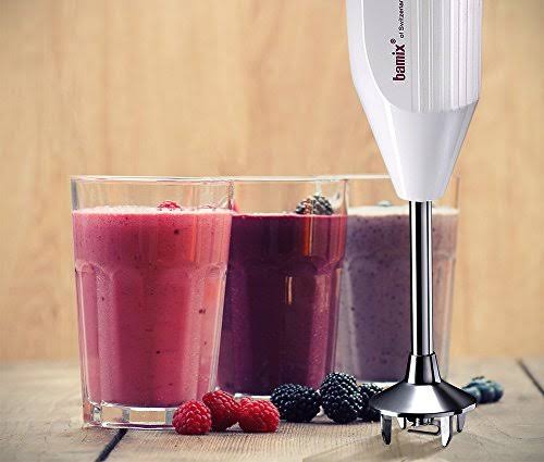 Bamix GL200 Gastro Pro-3 Immersion Hand Blender
