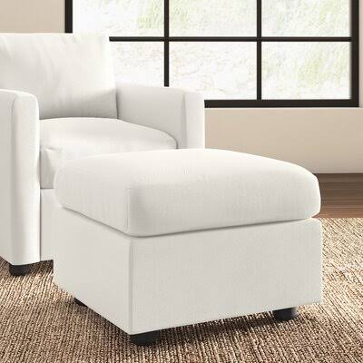 Birch Lane Jacobs 26x22 Rectangle Standard Ottoman Body Fabric: Nadia Moonstone