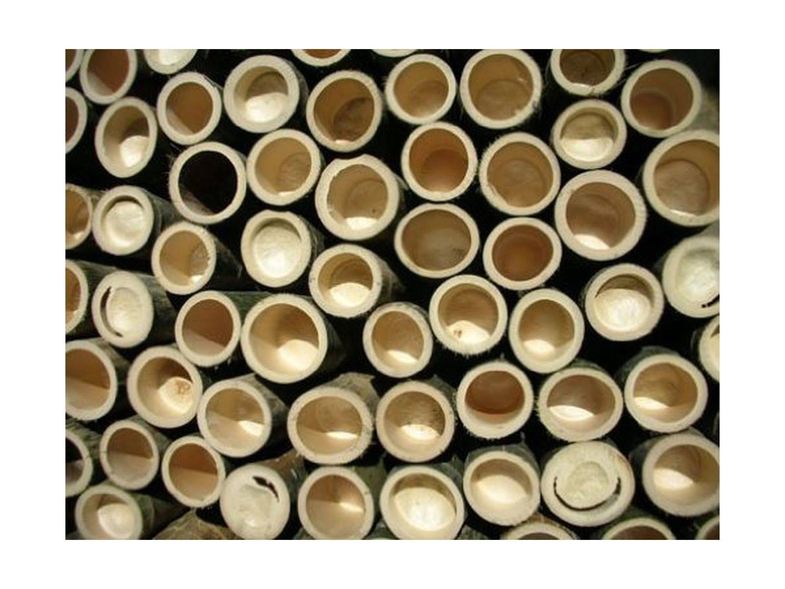 Bambu Veneerware Round Bamboo Plates 9 Inches 25