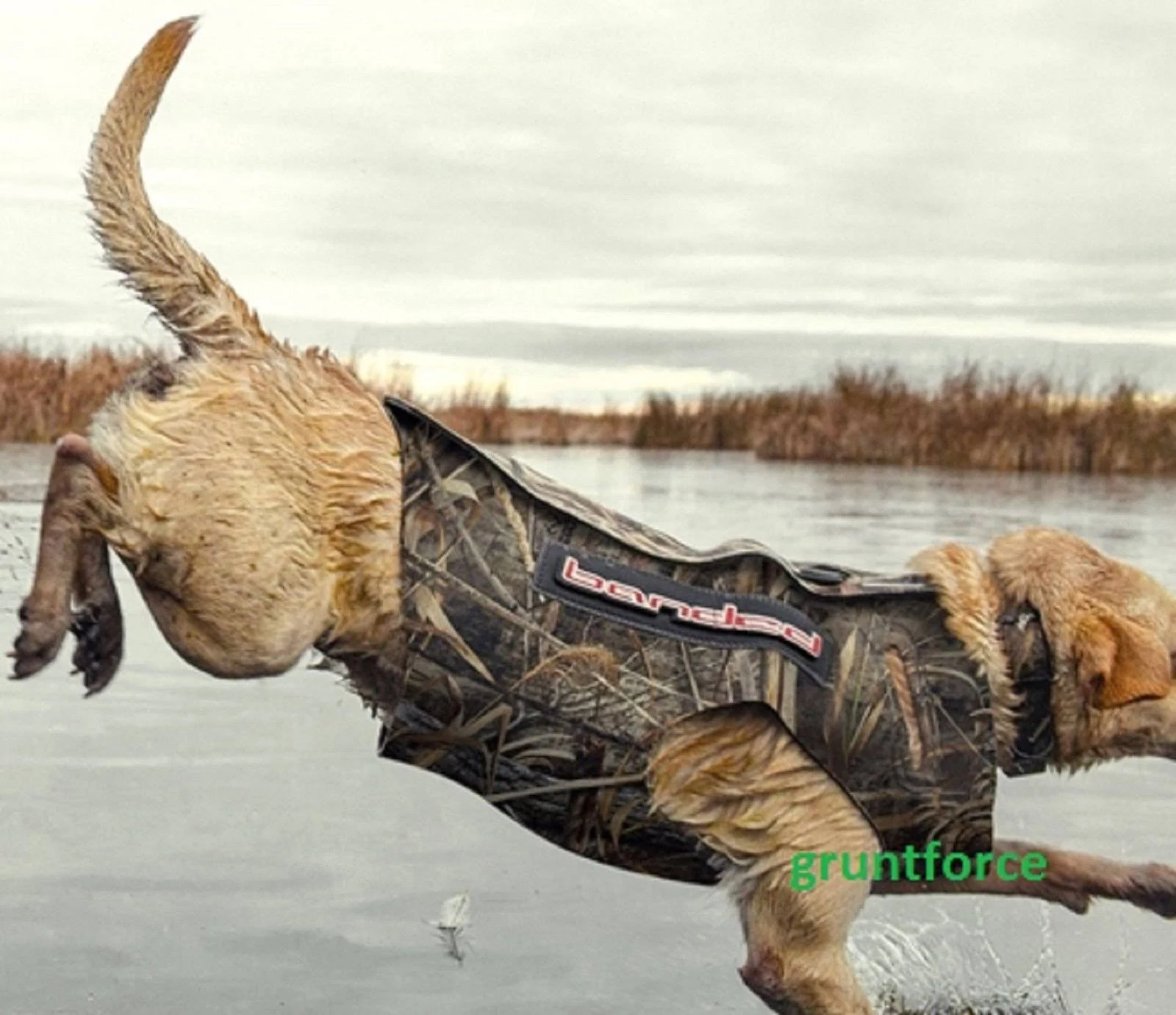 Banded 5mm Dog Parka - Bottomland