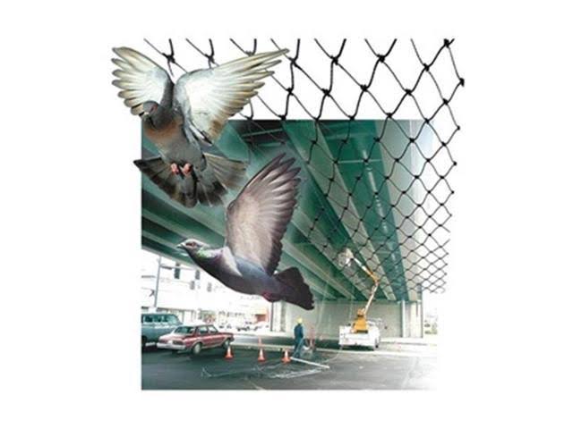 Bird-X NET-STR-100 Bird Repellent Netting, 14 ft x 100 ft.