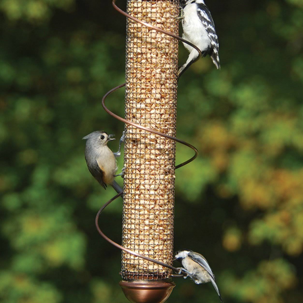 Songbird Essentials SEBQSBF4C 17x22 Copper Peanut Feeder