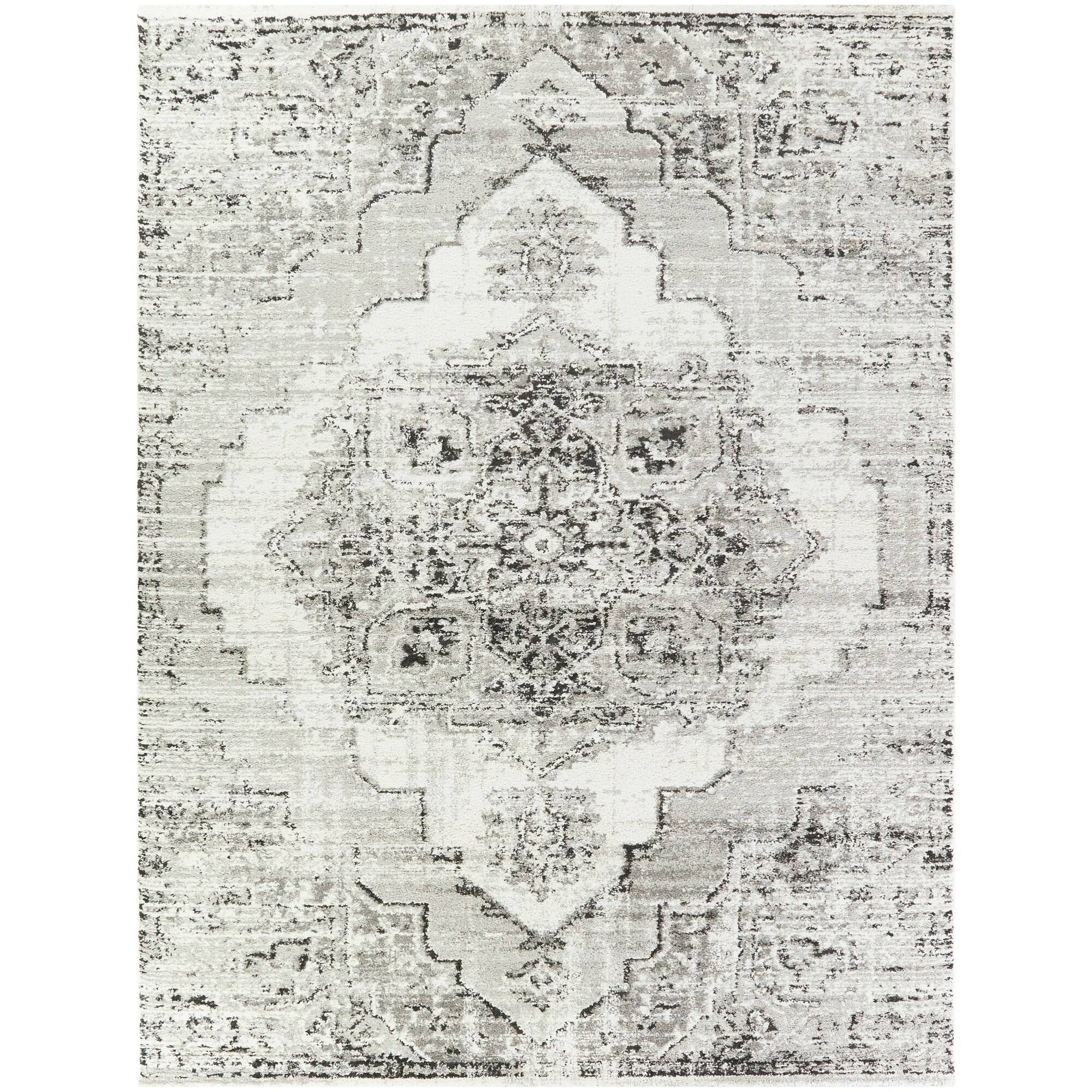 Amal Distressed Persian Medallion Area Rug - 7&10x22 x 10& - Grey
