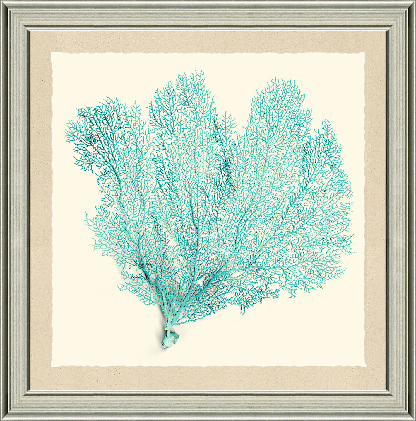 Highland Dunes Teal Sea Fan I Framed Graphic Art Print