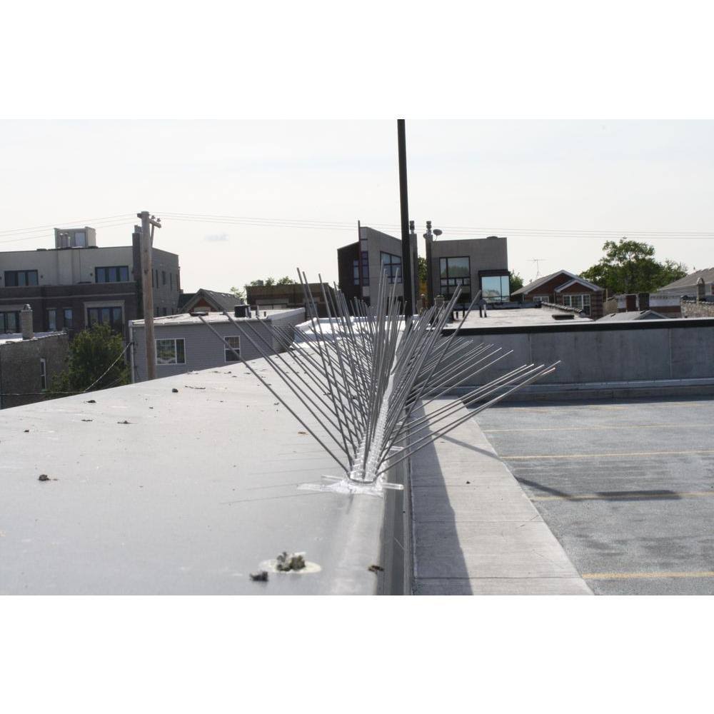 Stainless Steel Bird Spikes, 50 Feet - Bird-X - STS-50