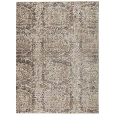 Tatiana Gray/Beige Area Rug Birch LANE? Rug Size: Rectangle 7&10x22 x 10&10x22