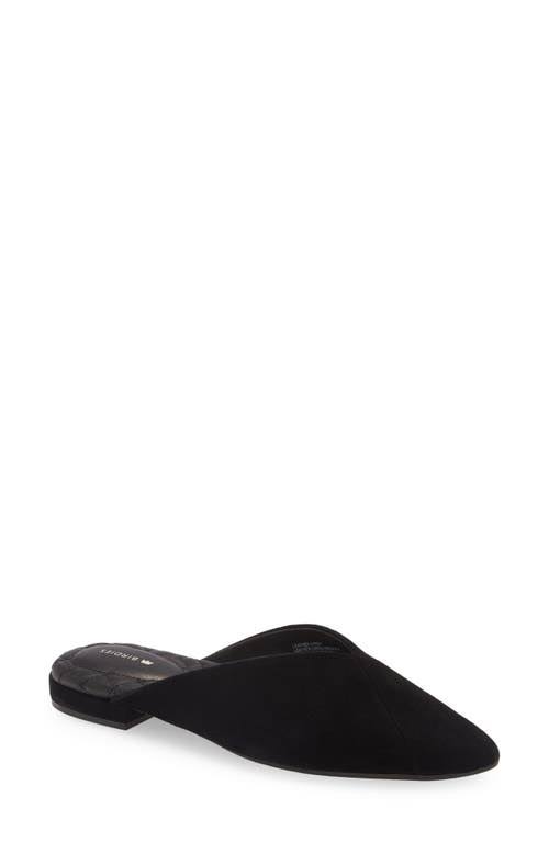 Birdies Swan Flat, Size 9 in Black at Nordstrom