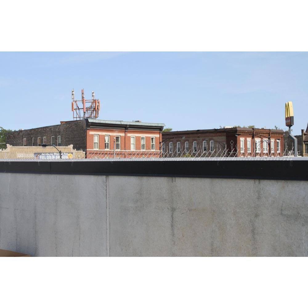 Stainless Steel Bird Spikes, 50 Feet - Bird-X - STS-50
