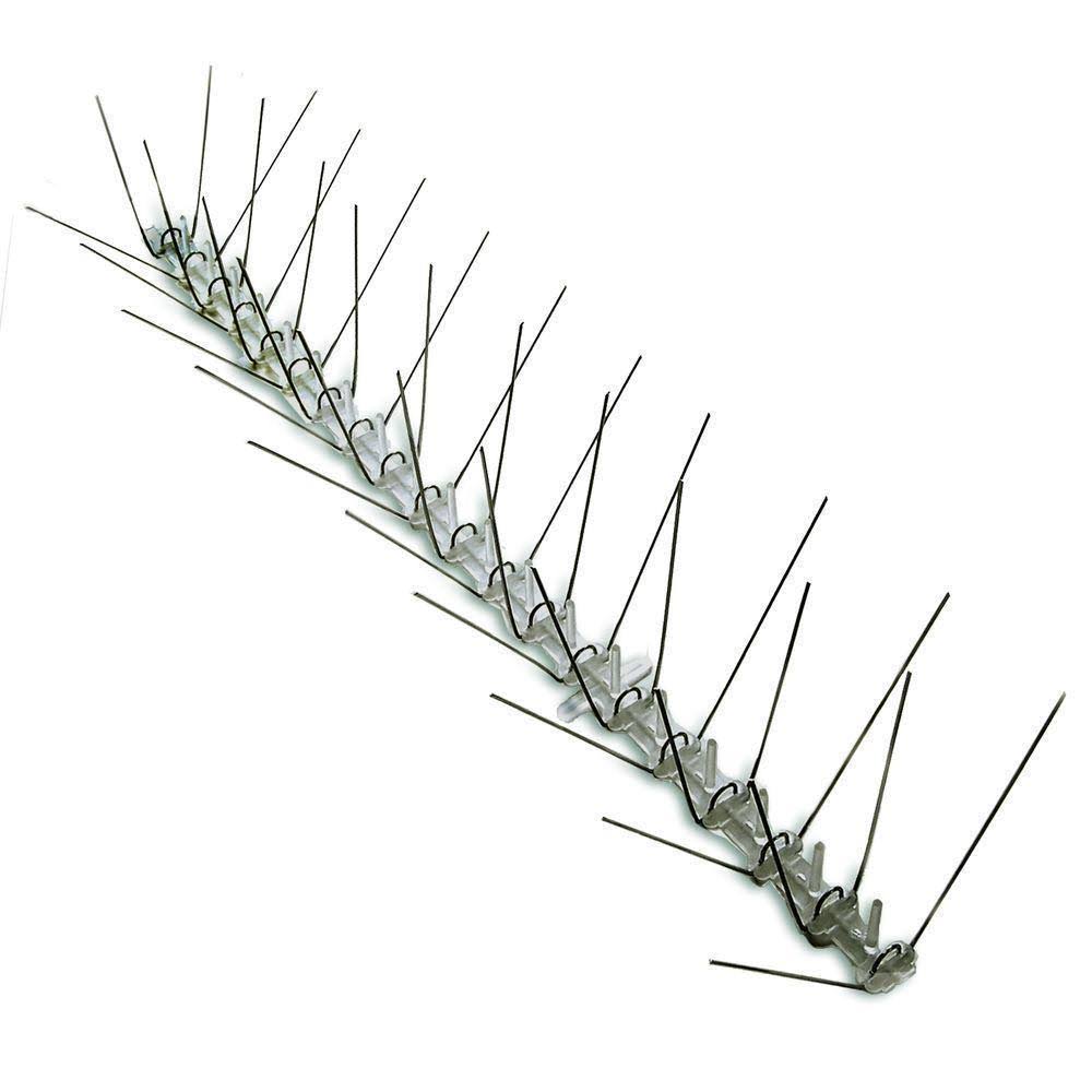 Stainless Steel Bird Spikes, 50 Feet - Bird-X - STS-50
