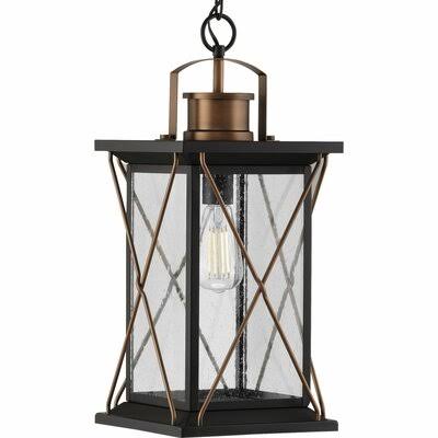 Donato 1 - Bulb 21x22 H Outdoor Hanging Lantern Fixture Finish: Antique Bronze