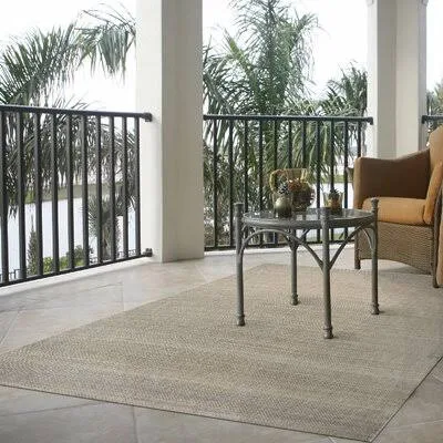 Mcilwain Beige Indoor/Outdoor Area Rug Birch Lane Rug Size: Rectangle 9&2x22 x 12&