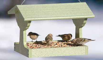 Bird's Choice Green Solutions Fly-Thru Feeder - Green