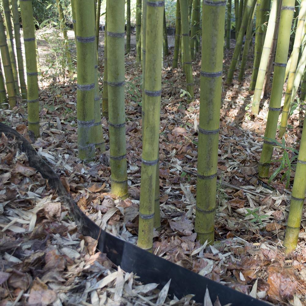 Bamboo Shield - 100 Mil Thick by 36in Depth 35 Feet
