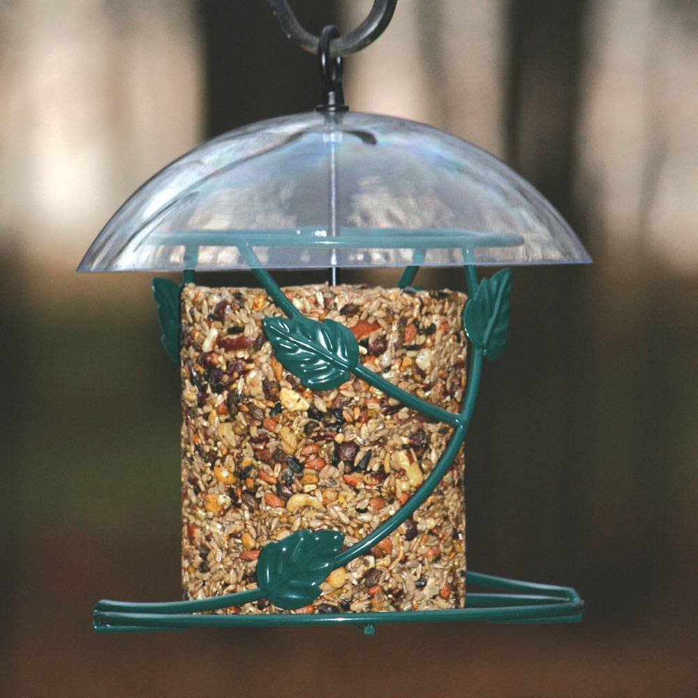 Birds Choice Hanging Seed Cylinder Bird Feeder