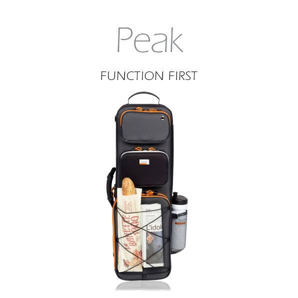 BAM Peak Performance Oblong Violin Case