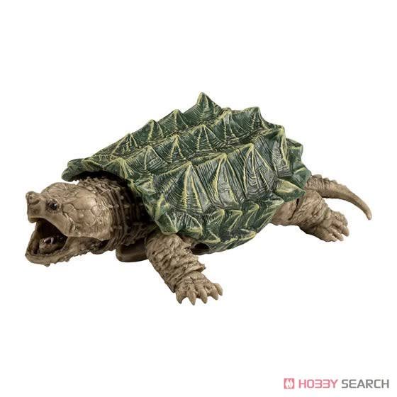 Tortoise 03 (Toy)