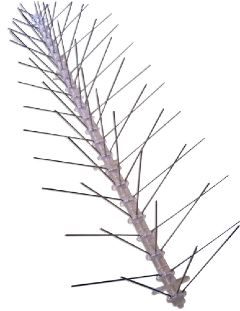Bird-X Stainless Steel Bird Spikes, 24&
