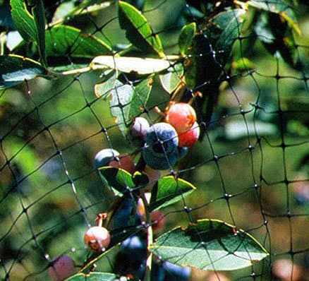 Bird-X Standard BirdNet 3/4x22 Mesh - 200&x14&