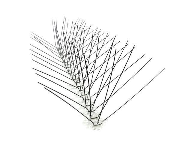 Stainless Steel Bird Spikes, 50 Feet - Bird-X - STS-50
