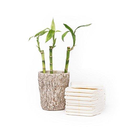 Andy Pandy Premium Bamboo Disposable Diapers X-Large 62 Count