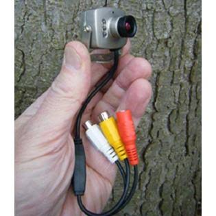 Hawk Eye Wireless Spy Cam Birdhouse Camera