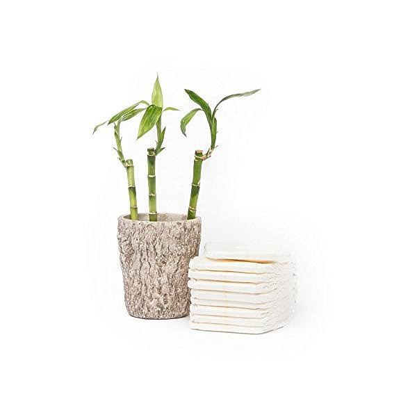 Eco Friendly Premium Bamboo Disposable Diapers by Andy Pandy - Large - for Babies Weighing 20-31 lbs - 70 Count