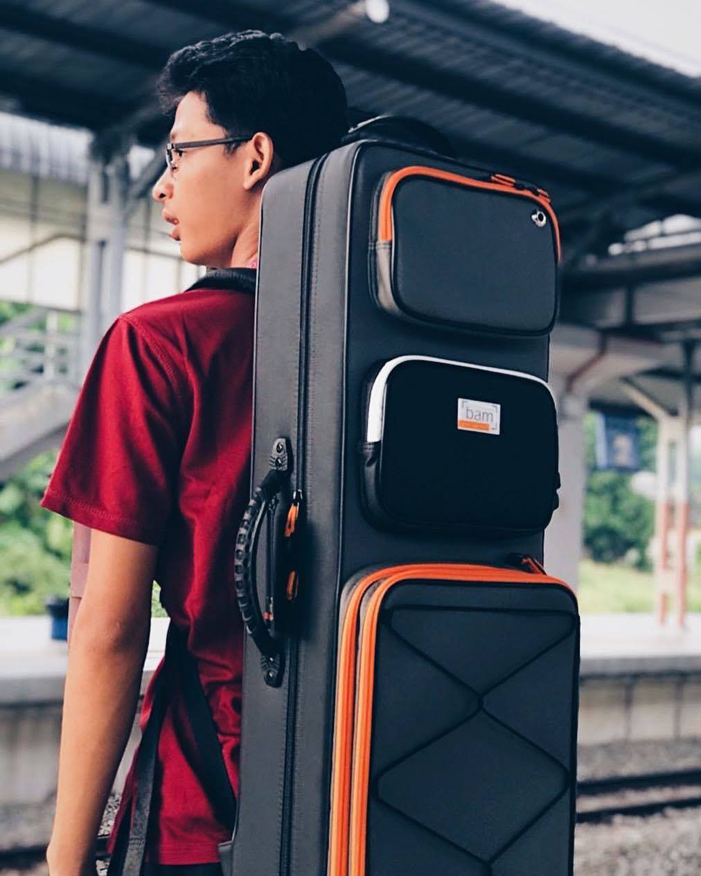 BAM Peak Performance Oblong Violin Case