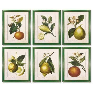 &Citrus Prints& 6 Piece Picture Frame Print Set Birch Lane