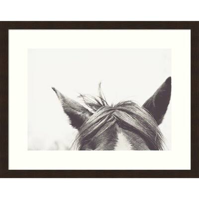 Listen by EMI and Mark Franzen - Picture Frame Photograph Print on Paper Birch Lane Frame Color: Espresso, Size: 15x22 H x 19x22
