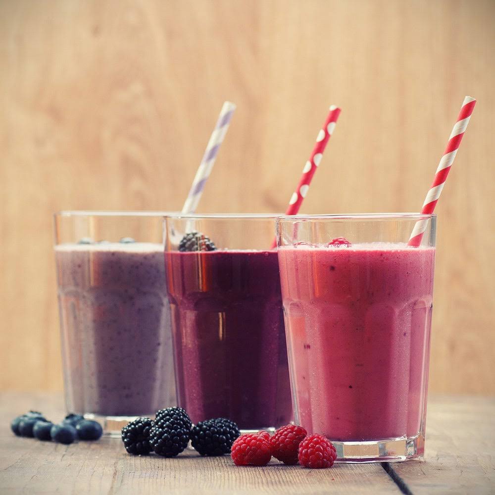 Bamix M133 Mono Immersion Blender & Processor - Silver