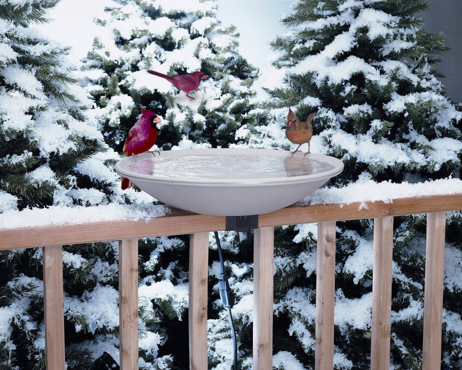 Allied Precision 20x22 Heated Bird Bath with Stand