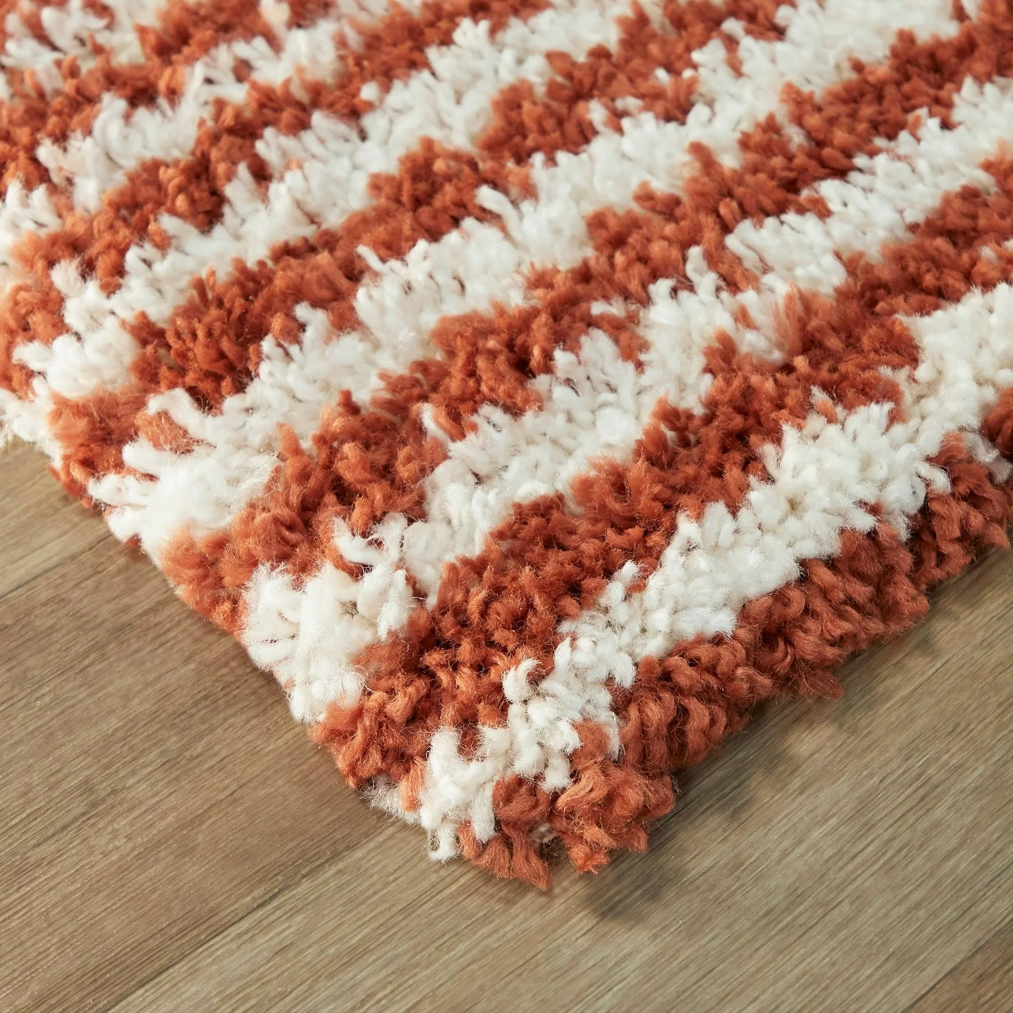 Balta Hughes Burnt Orange 5 ft. x 7 ft. Striped Shag Area Rug