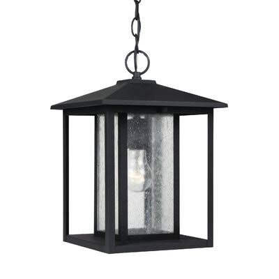 Litton 1 -Bulb 13.75x22 H Outdoor Hanging Lantern Fixture Finish: Black
