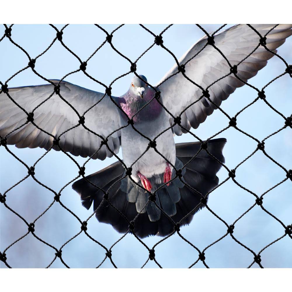 Bird-X NET-PE-50-50 Bird Repellent Net, 50 ft. x 50 ft.