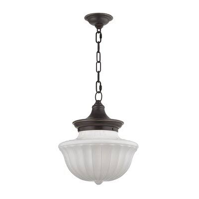 Darby Home Co Emmett 1-Light Schoolhouse Pendant, Size: 72.5 inch H x 15 inch W