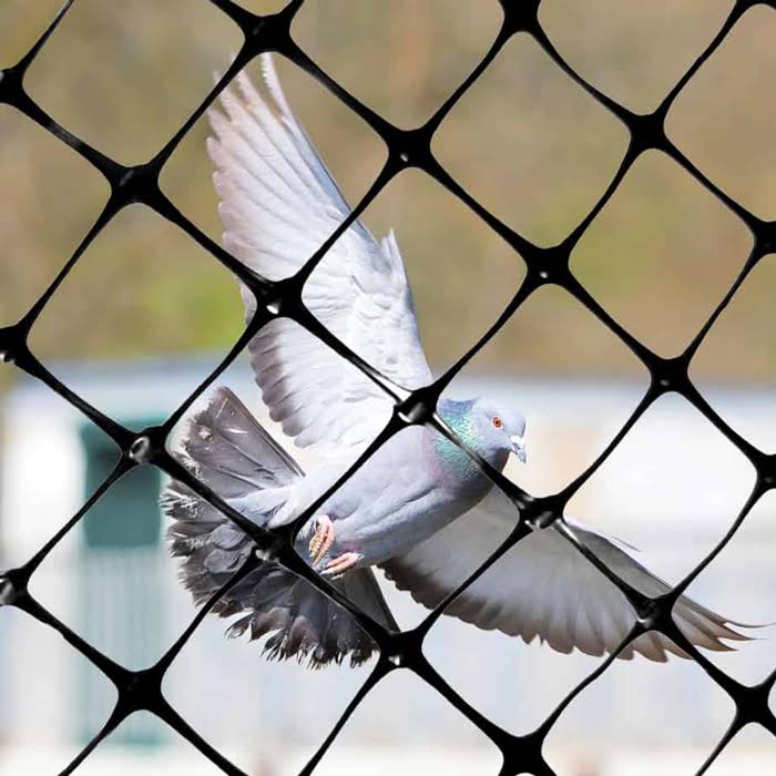 Bird-X NET-STR-100 Bird Repellent Netting, 14 ft x 100 ft.