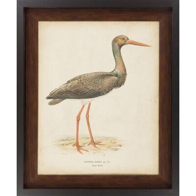 'Embellished Vintage Heron I' Picture Frame Print