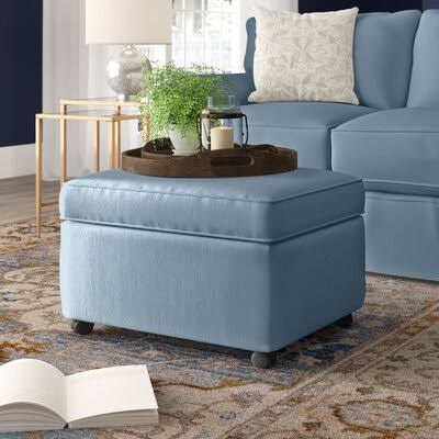 Birch Lane Wolsingham 28x22 Rectangle Standard Ottoman Body Fabric: Nadia Moonstone