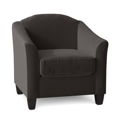 Birkett Armchair Body Fabric: Turbo Iron, Leg Color: Black Walnut